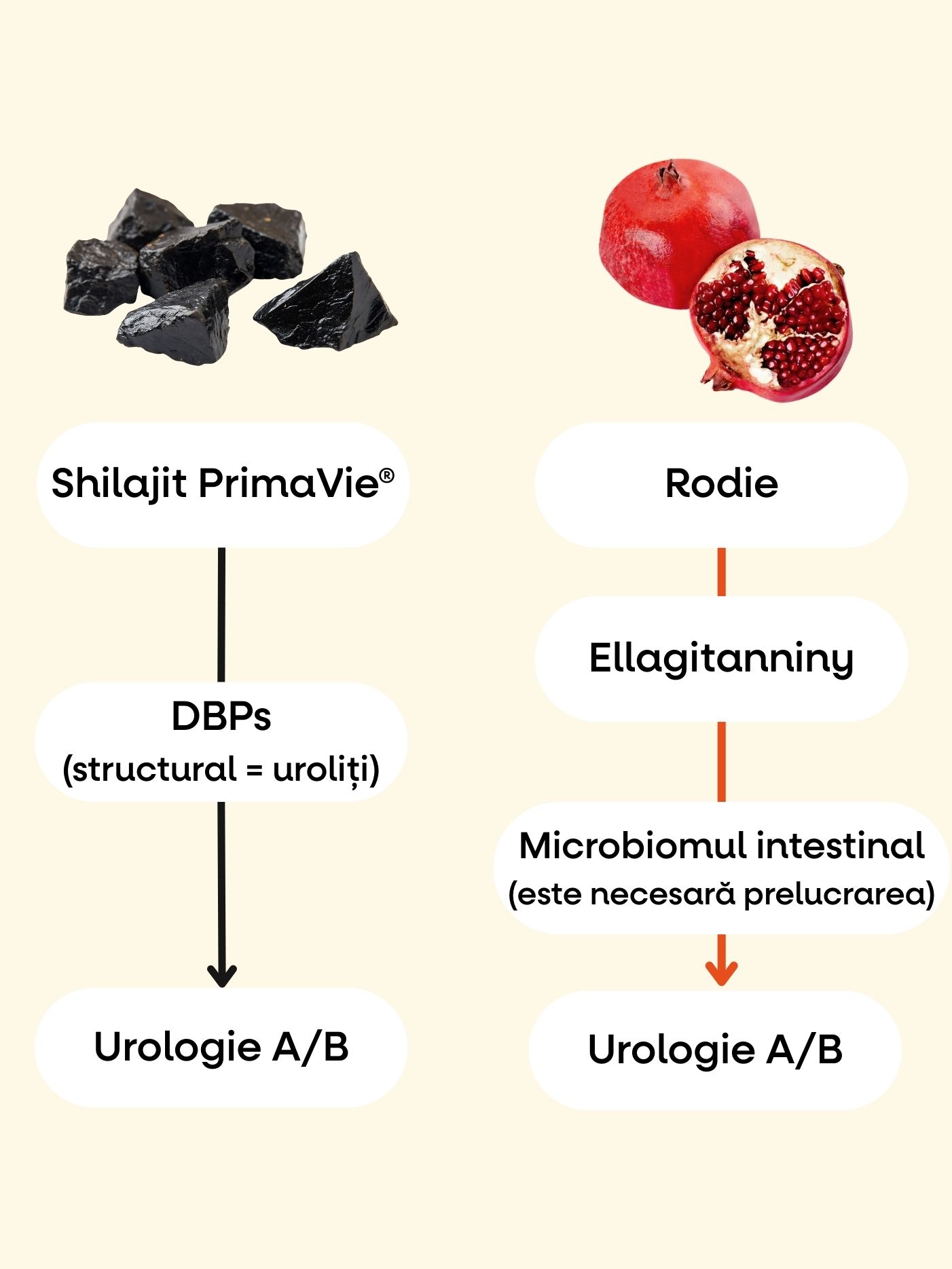 (Rumunština) - 2025-09-21T113737.872